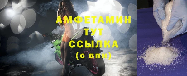 стаф Горняк