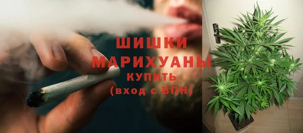 стаф Горняк