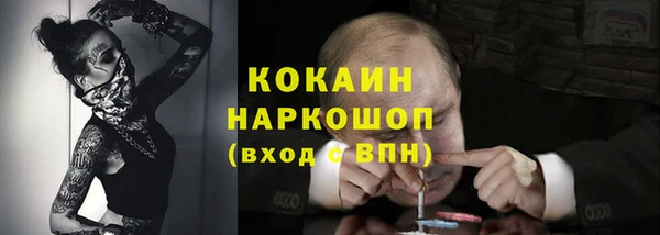 стаф Горняк