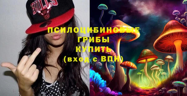 не бодяженный Горнозаводск