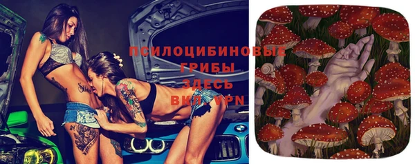 стаф Горняк