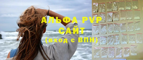 стаф Горняк