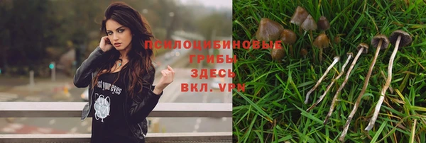 герыч Горно-Алтайск