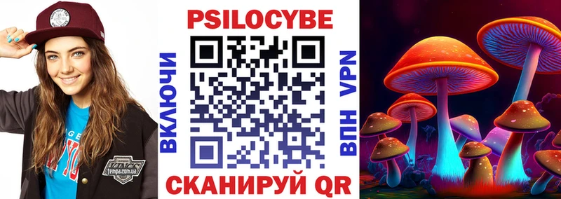 купить наркоту  blacksprut онион  Галлюциногенные грибы мицелий  Карачаевск 
